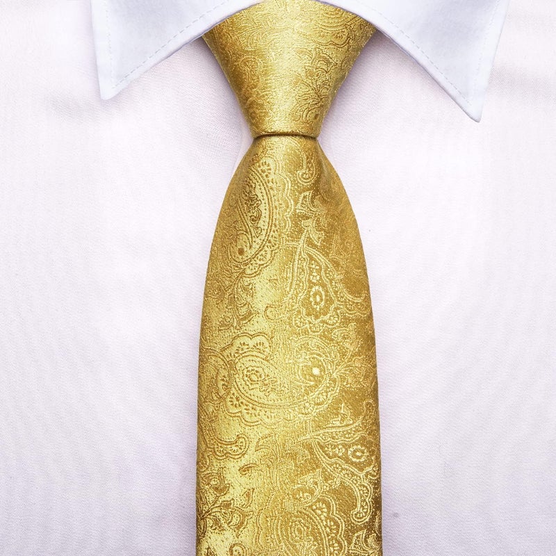 Dubulle Ties for Boys Self Tie Silk Paisely Striped Kids Necktie and Pocket Square Set for Age 8-11 - Image 4